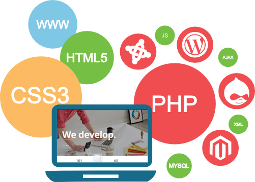 Web Development